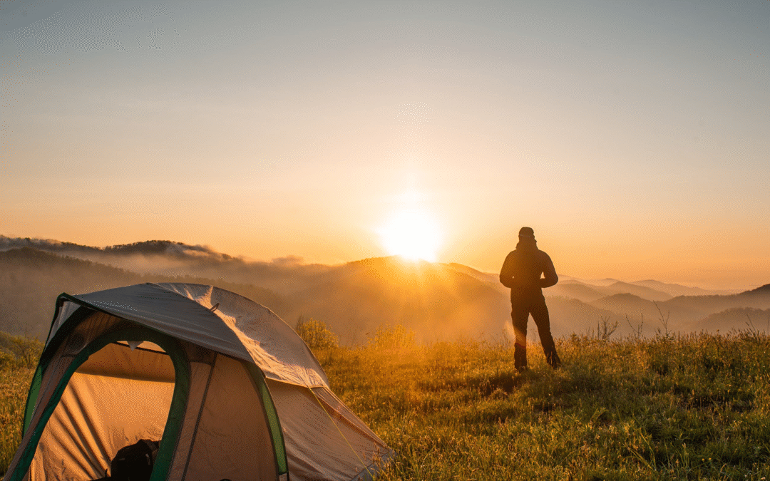 Exploring The Green Spaces Of Realar Residence Area Harmony with Nature